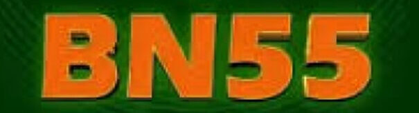 BN55 game